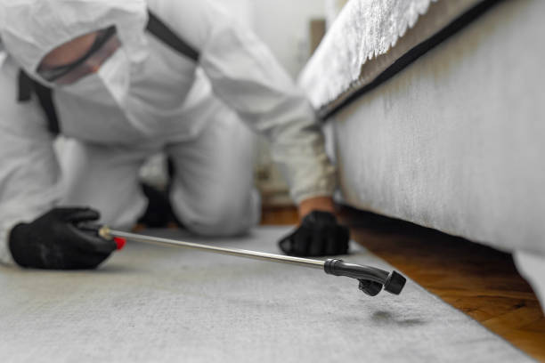 Professional Termite Control technician working in Wyldwood, TX