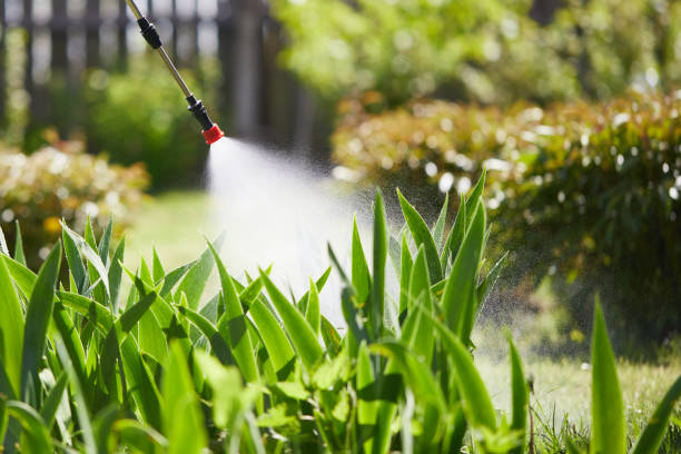 24/7 Emergency Termite Control experts in Wyldwood, TX