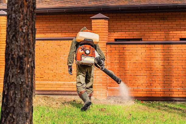 Trusted Termite Control service in Wyldwood, TX - Nex Pest Control
